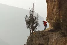 Un Genevrier fait le décors de cette superbe Via corda de Choranche